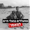 גולן